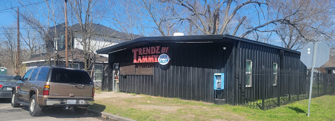 Trendz by Tammy Black Hair Salon