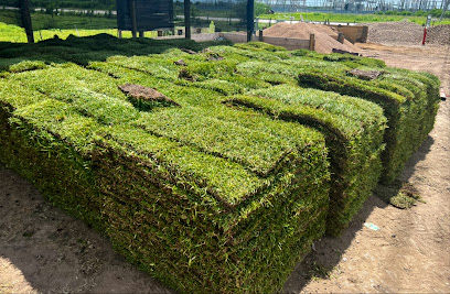 Houston's Grass Supplier