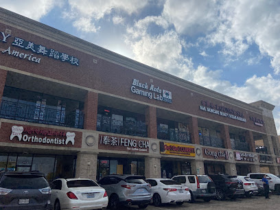 Black Ants Gaming Lab