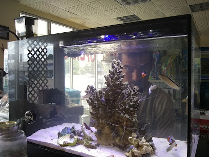 THE FISH TANK