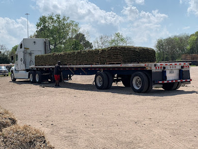 Brokers Grass