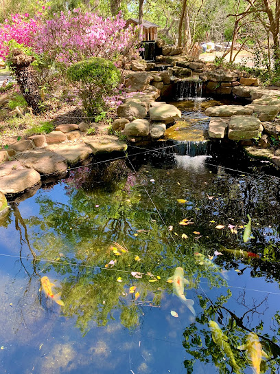 Lowe's Water Gardens & Etc