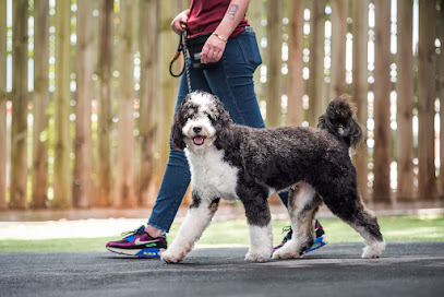 Revival Dog Training - West University