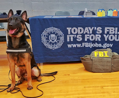 Off Leash K9 Training Houston