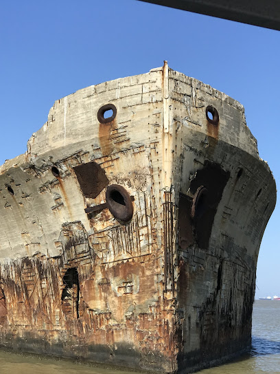 Historic Harbor Tours and Dolphin Watch