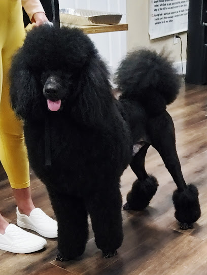 Puddy Cuts Dog Grooming & Boarding