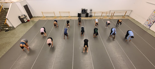 Houston Metropolitan Dance Center