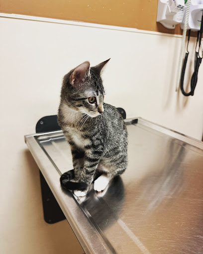 VCA Spring Branch Animal Hospital