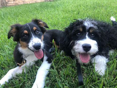 Suburban K9 Dog Training