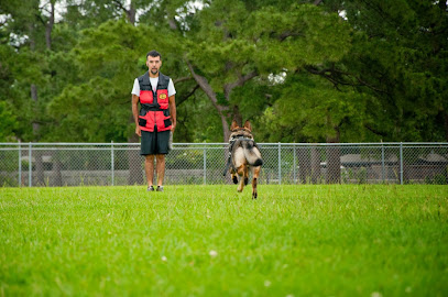 Longoriahaus Dog Training