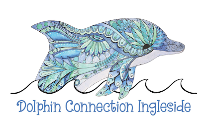 Dolphin Connection Ingleside