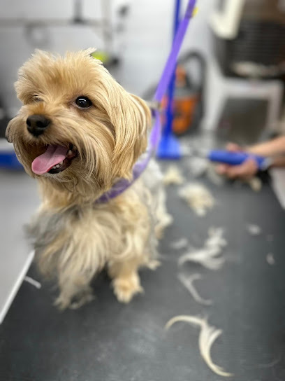 Heights Pet Grooming
