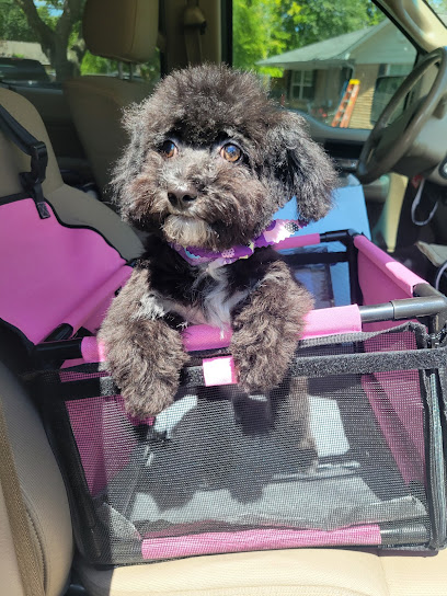 Furrytails Dog Grooming
