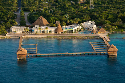 Dolphin Discovery Cozumel