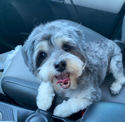 Good Dog Grooming Shop