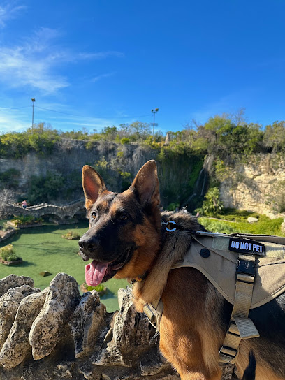 Carlisle K9 Dog Training