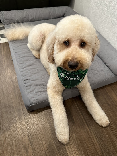 Fashion Pet Grooming