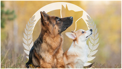 Dog Training Elite West Houston