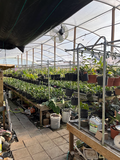 Tropical Paradise Nursery