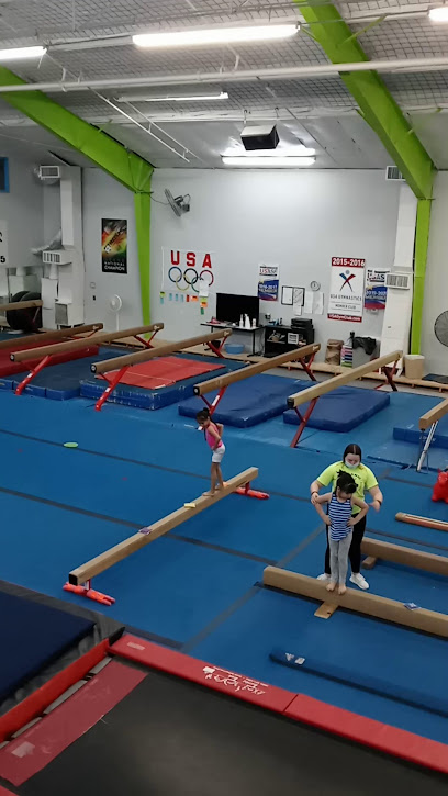 Dynamic Gymnastics & Cheer