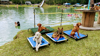 Puptown Houston Dog Training