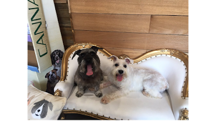 Mane & Minks Vet-Spa And Pet Hotel
