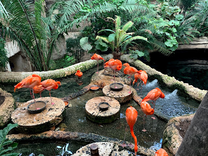 The Dallas World Aquarium