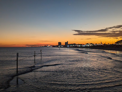 Galveston Beach