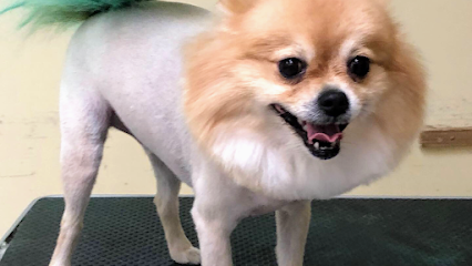 Ju Ju's Pet Grooming & Day Spa