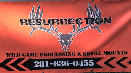 Resurrection Wild Game Processing & Skull Mounts