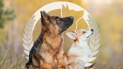 Dog Training Elite of South Houston