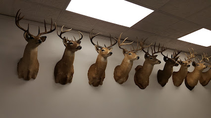 Bay Area Deer Processing