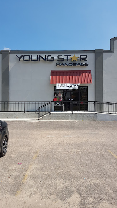 Young Star Handbags