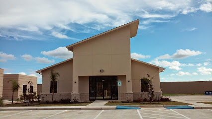 Bay Area Child Neurology