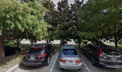 Rice Sand Volleyball Court