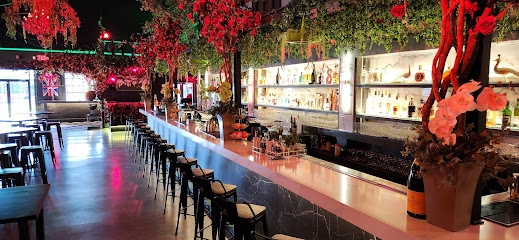 The Ivy House