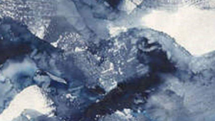Indigo Light Path