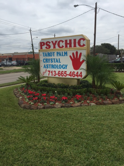 Psychic Elaine Palmer