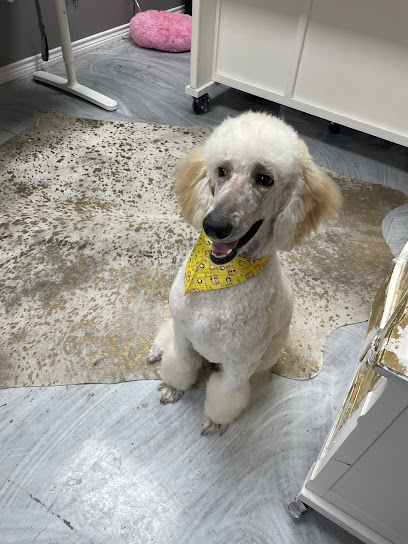 Boujee Pets Boutique and Grooming