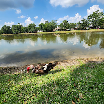 Summerwood Lake