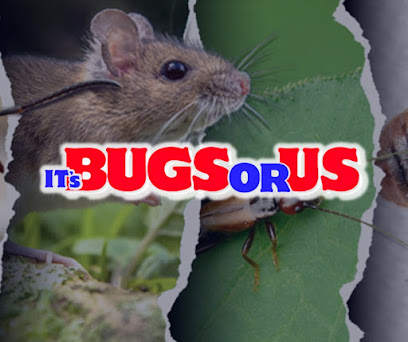 It's Bugs Or Us Pest Control