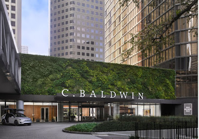 C. Baldwin, Curio Collection by Hilton