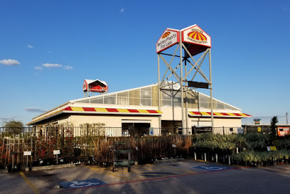 Houston Garden Centers