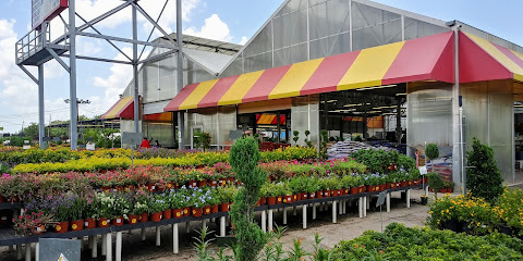 Houston Garden Centers