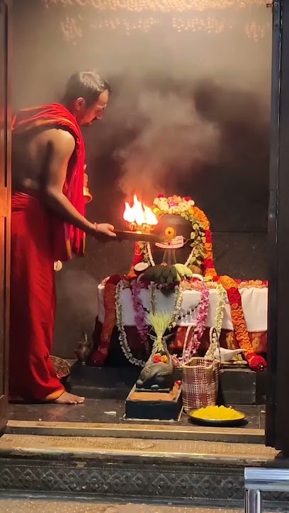 Indian Astrologer in Texas, USA , Spiritual Healer,Pandit ShivaRam Ji
