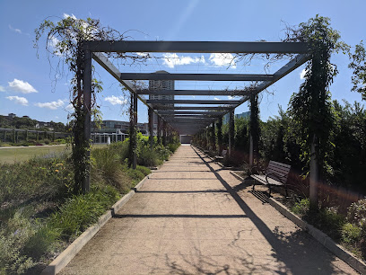Pergola Walk
