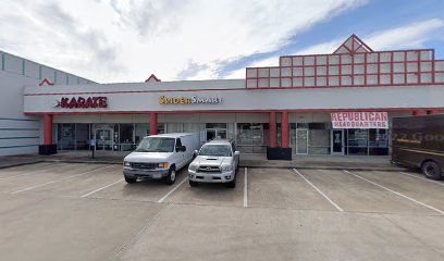 Houston Karate Academy