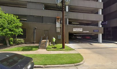World Language Institute