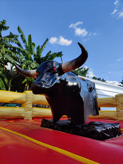 Bucking Bronco