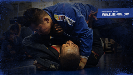 Elite Mixed Martial Arts - Westchase